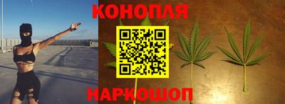 Альфа ПВП Заволжье