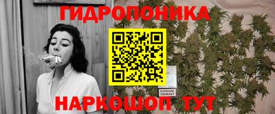 скорость Дубна