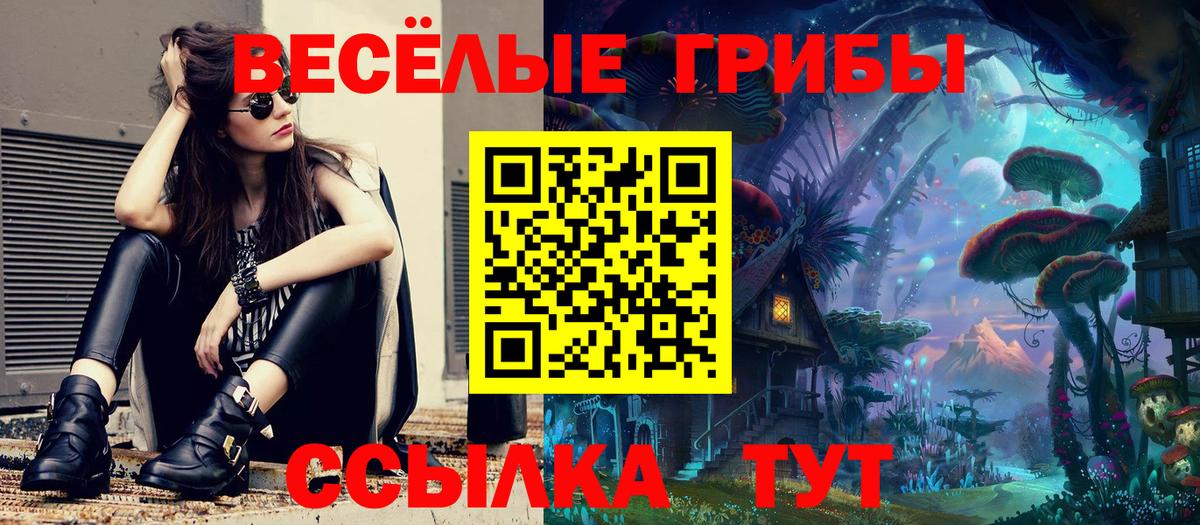 Галлюциногенные грибы Psilocybine cubensis  Вход с VPN  Псилоцибиновые грибы прущие грибы  Нижний Тагил 