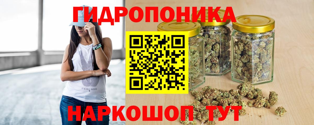 Бошки Шишки планчик Нижний Тагил